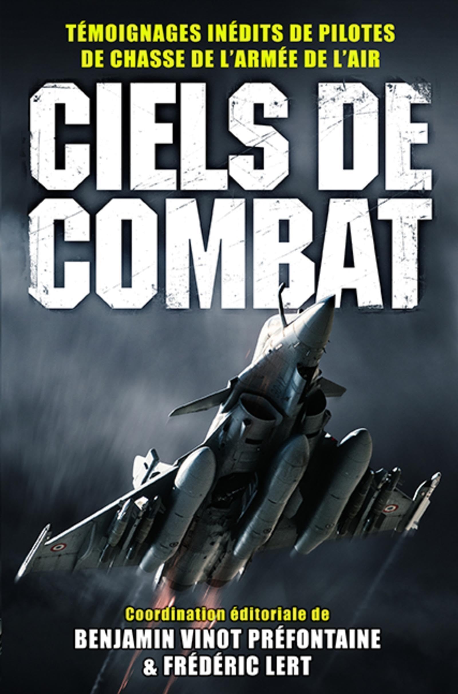 Ciels de combat: Témoignages inédits de pilotes de chasse de l'Armée de l'air book