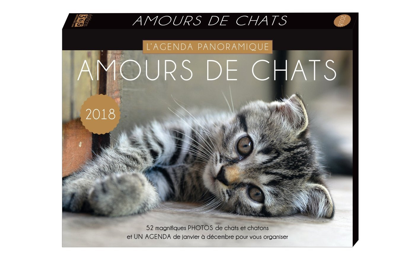 Agenda panoramique Amours de chats 2018 book