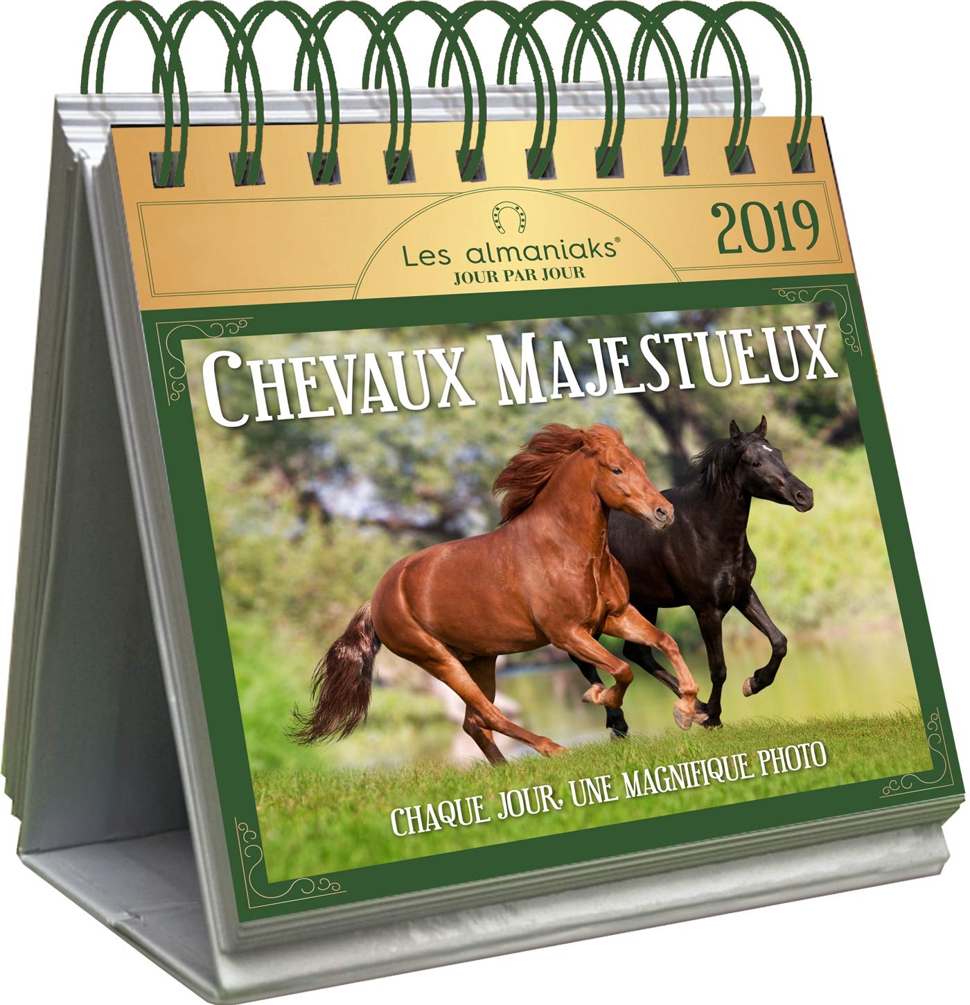 Le Grand Almaniak Chevaux majestueux 2019 book