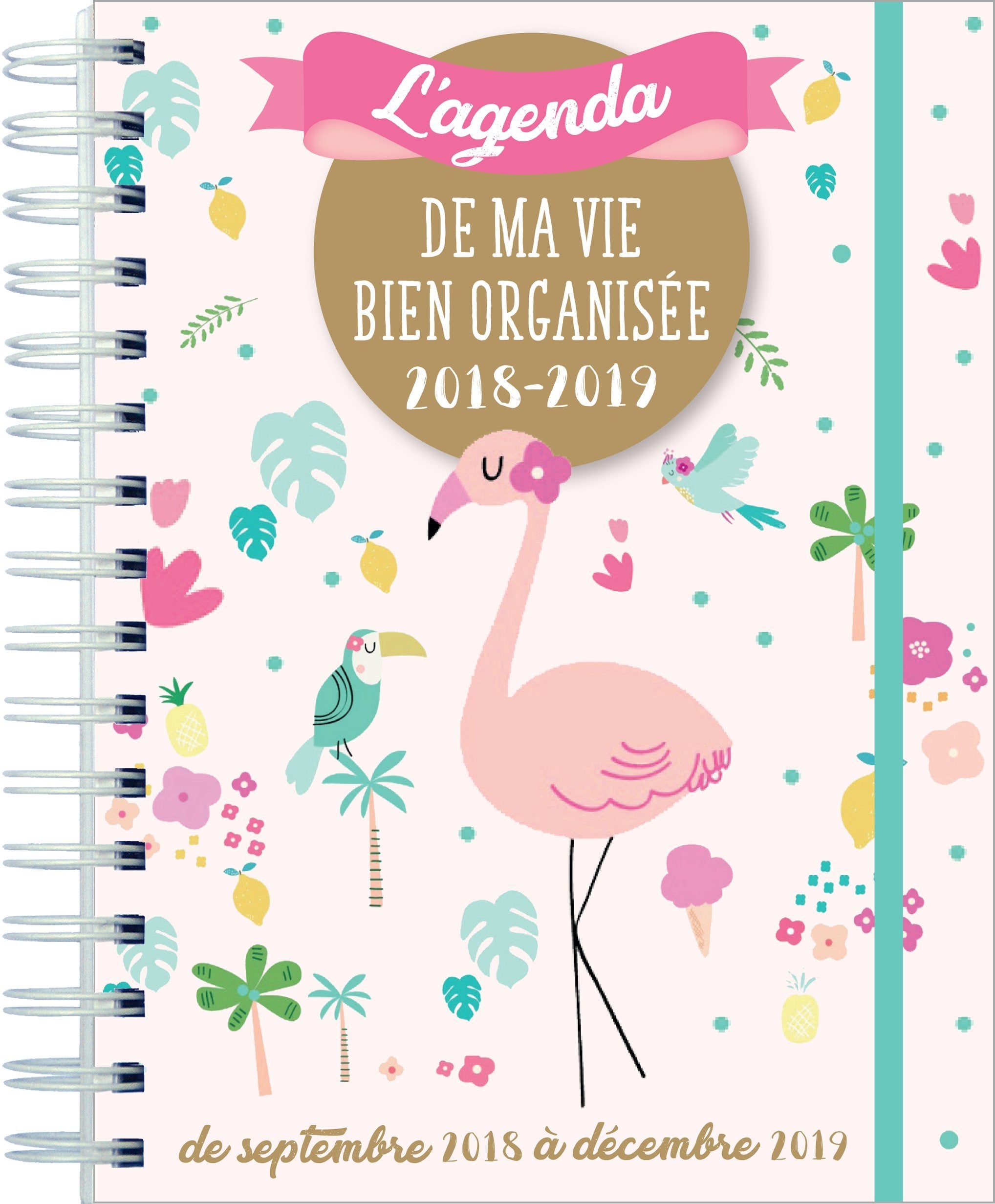 L agenda de ma vie bien organisée 2018-2019 book