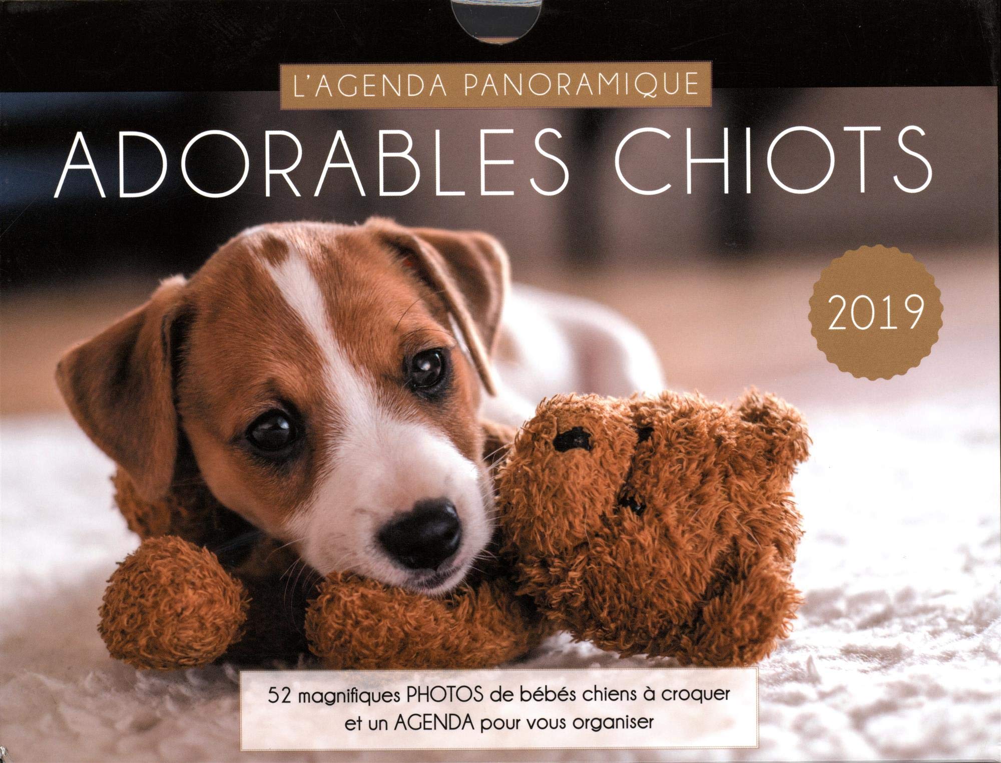 Agenda panoramique Adorables chiots 2019 book