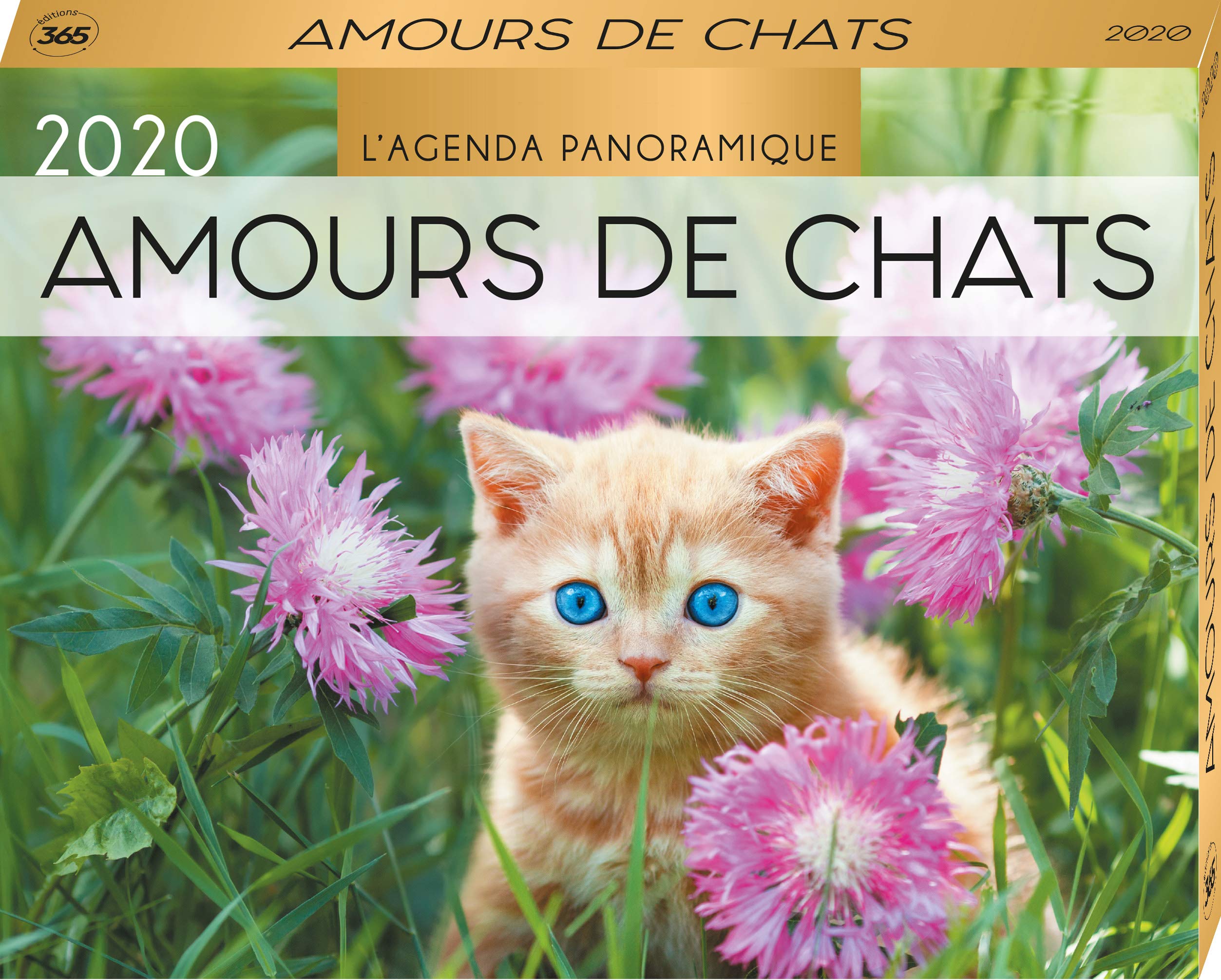 Agenda panoramique Amours de chats 2020 Leisure, Home & Garden