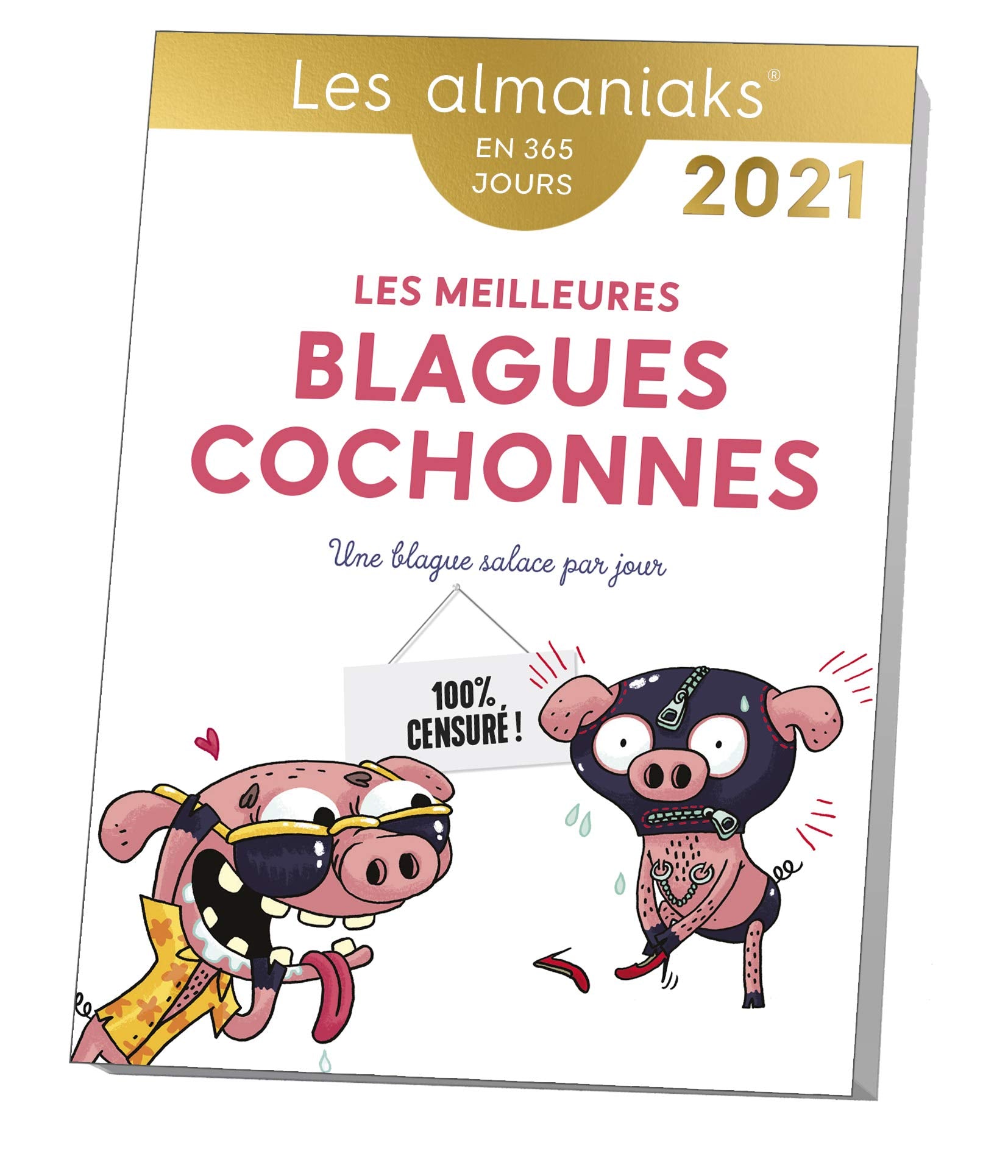 Almaniak Les meilleures blagues cochonnes 2021 Books