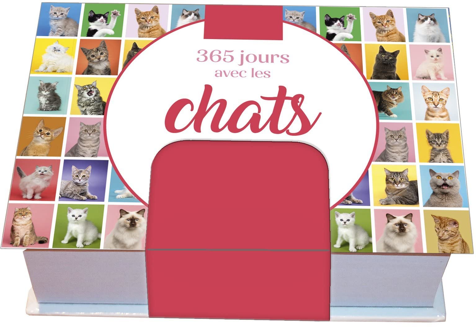 Minimaniak 365 jours avec les chats - mini calendrier Partnership & Love