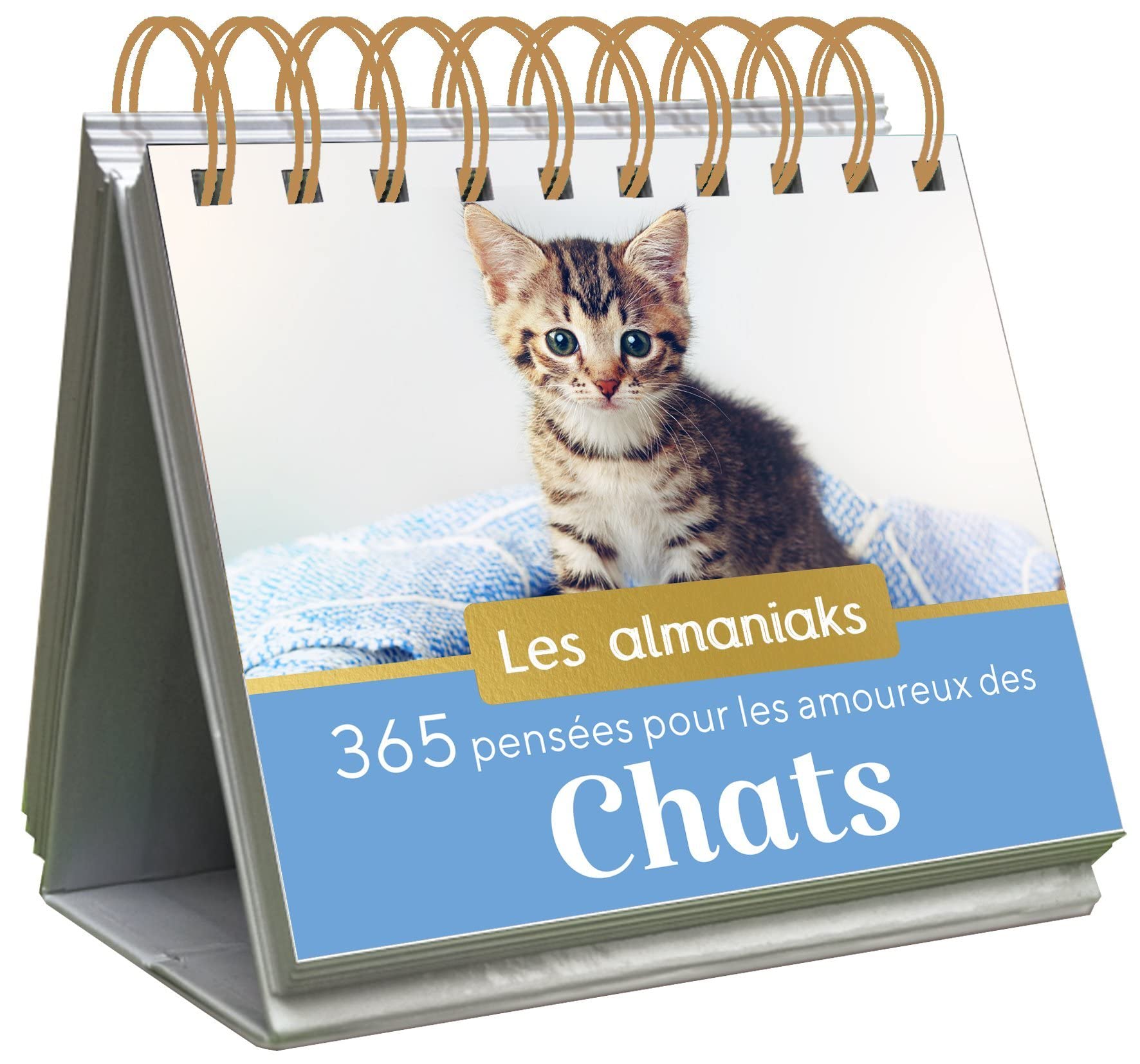 Almaniak 365 pensées pour les amoureux des chats - calendrier 1 page par jour Partnership & Love
