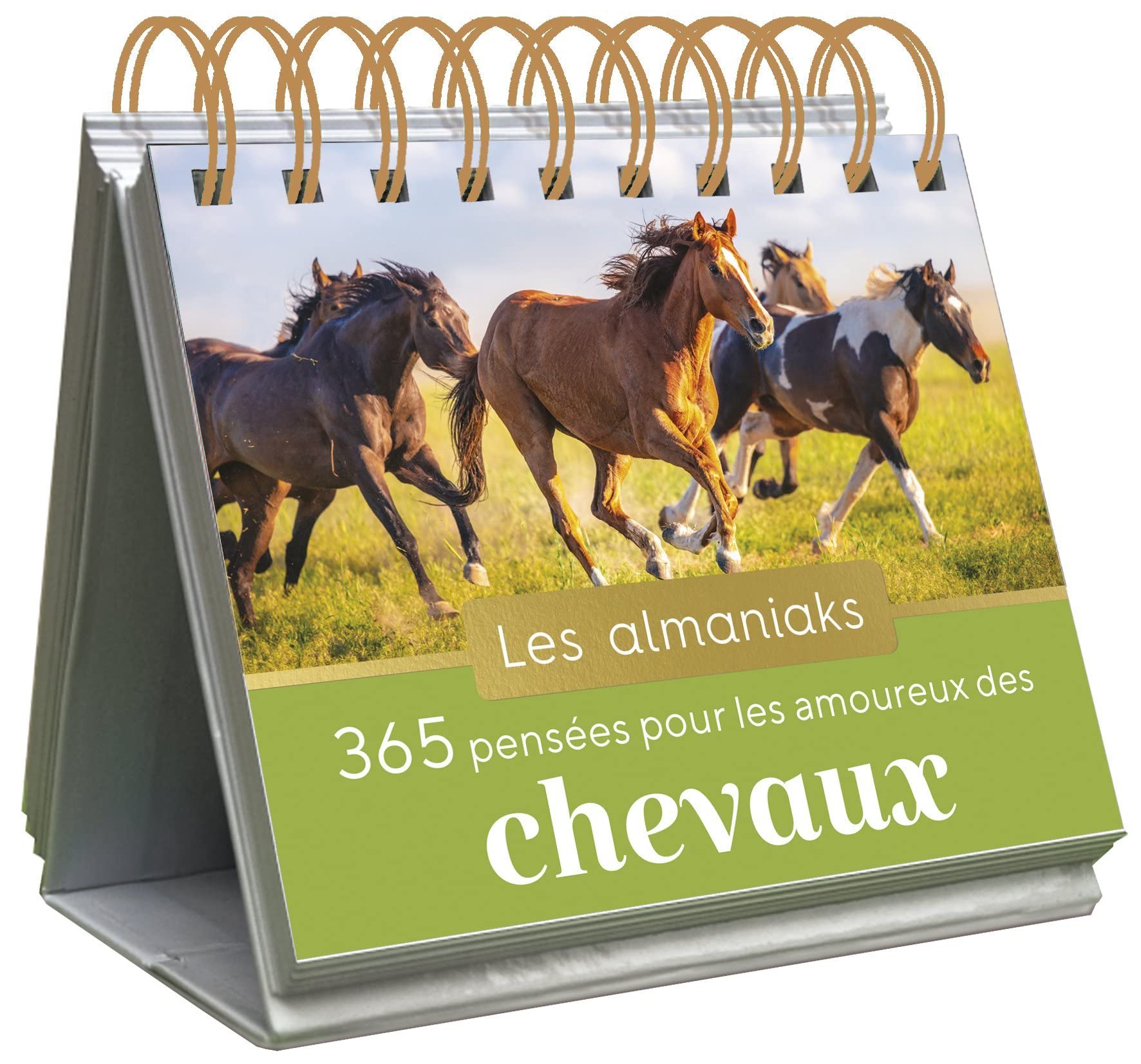 Almaniak 365 pensées pour les amoureux des chevaux - calendrier 1 page par jour Partnership & Love