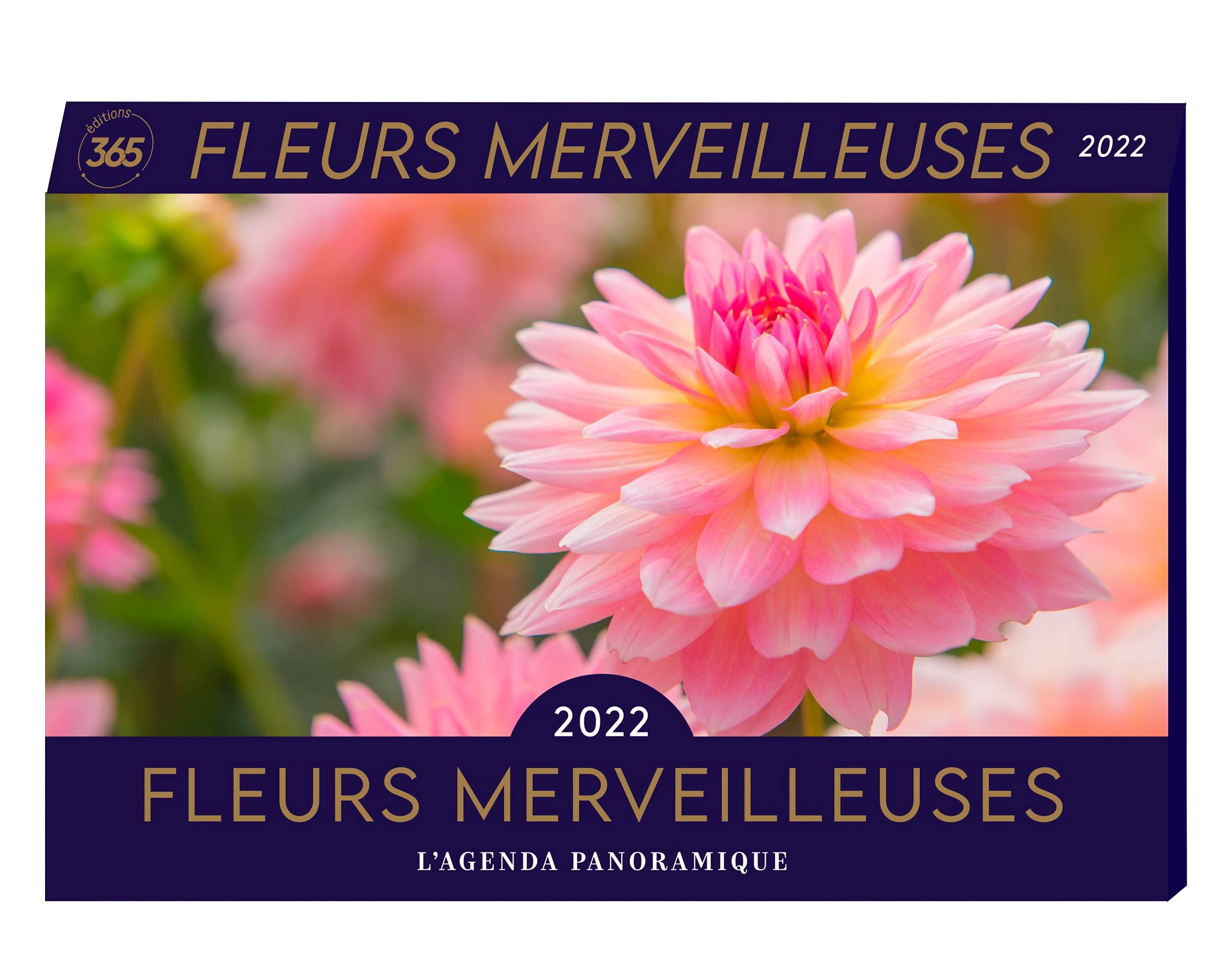 Agenda panoramique Fleurs merveilleuses 2022 Partnership & Love