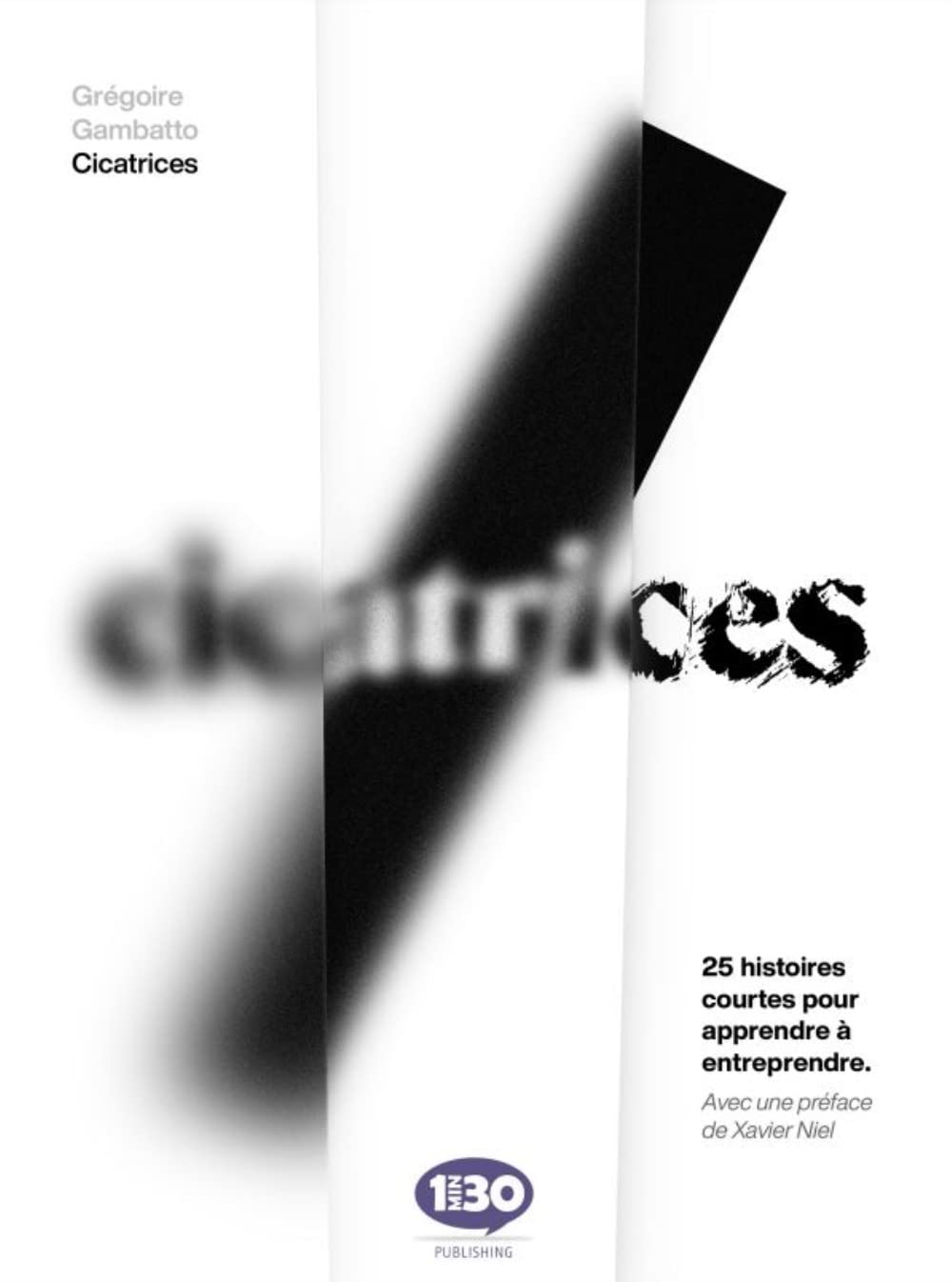 Cicatrices - 25 histoires courtes pour apprendre à entreprendre Business, Finance & Career