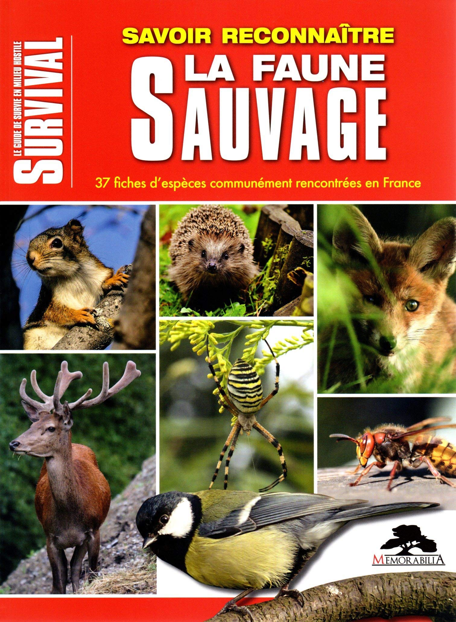Savoir reconnaître la faune sauvage: 37 fiches d'espèces communément rencontrées en France book