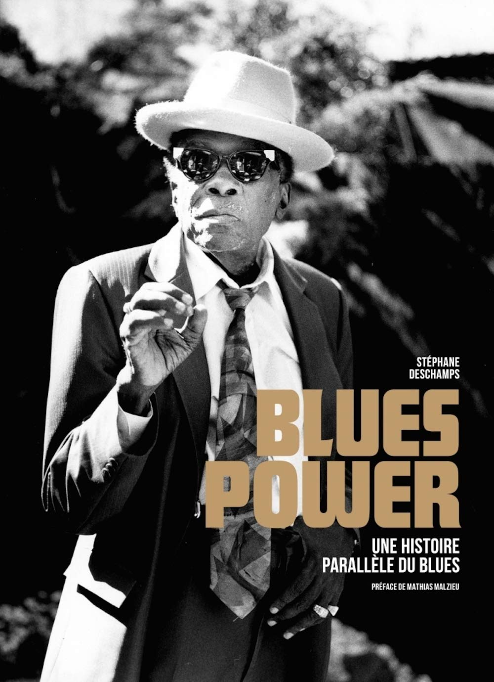 Blues Power - une Histoire Parallèle du Blues Film, Art & Culture
