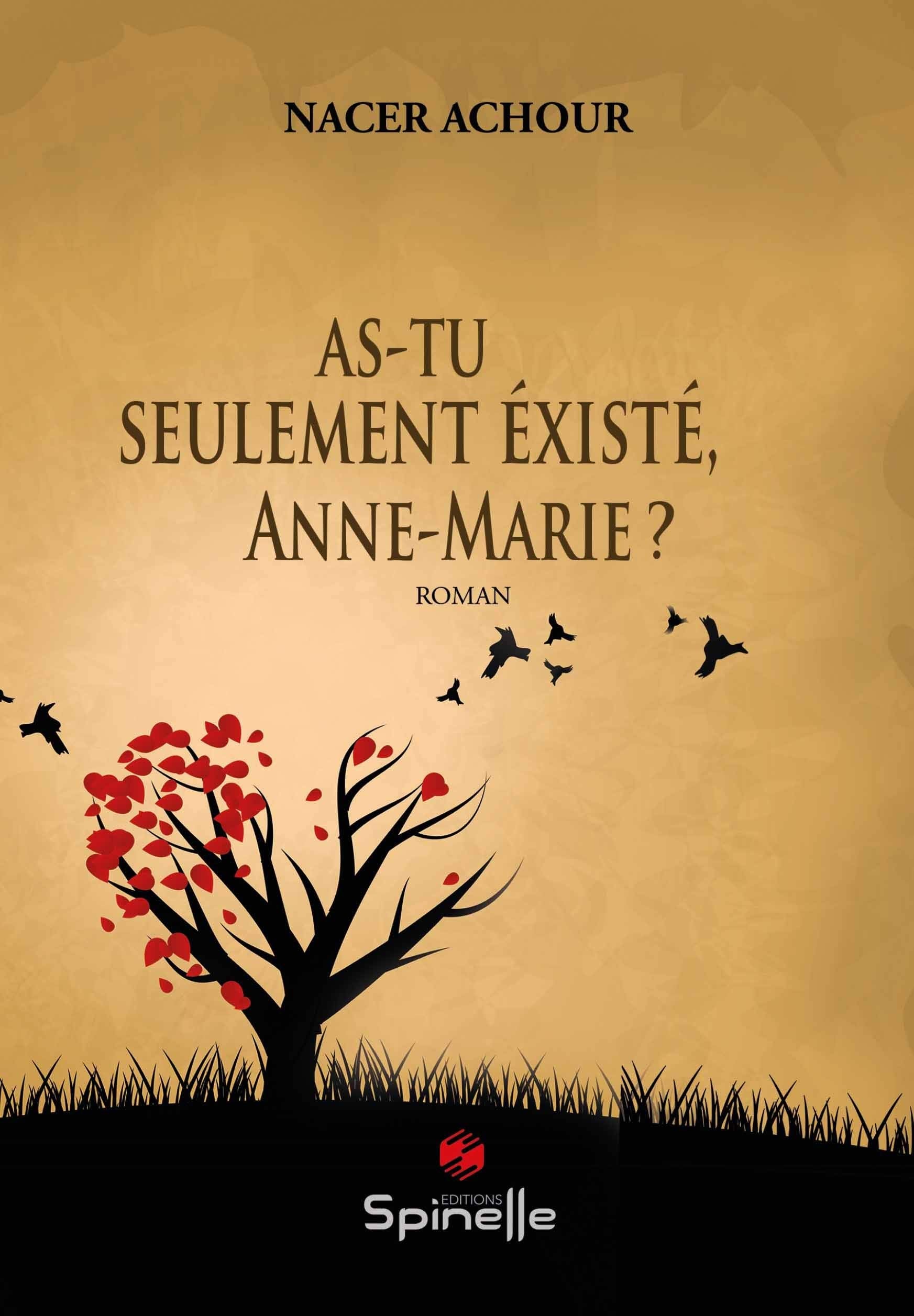 As-tu seulement existé, Anne Marie ? book