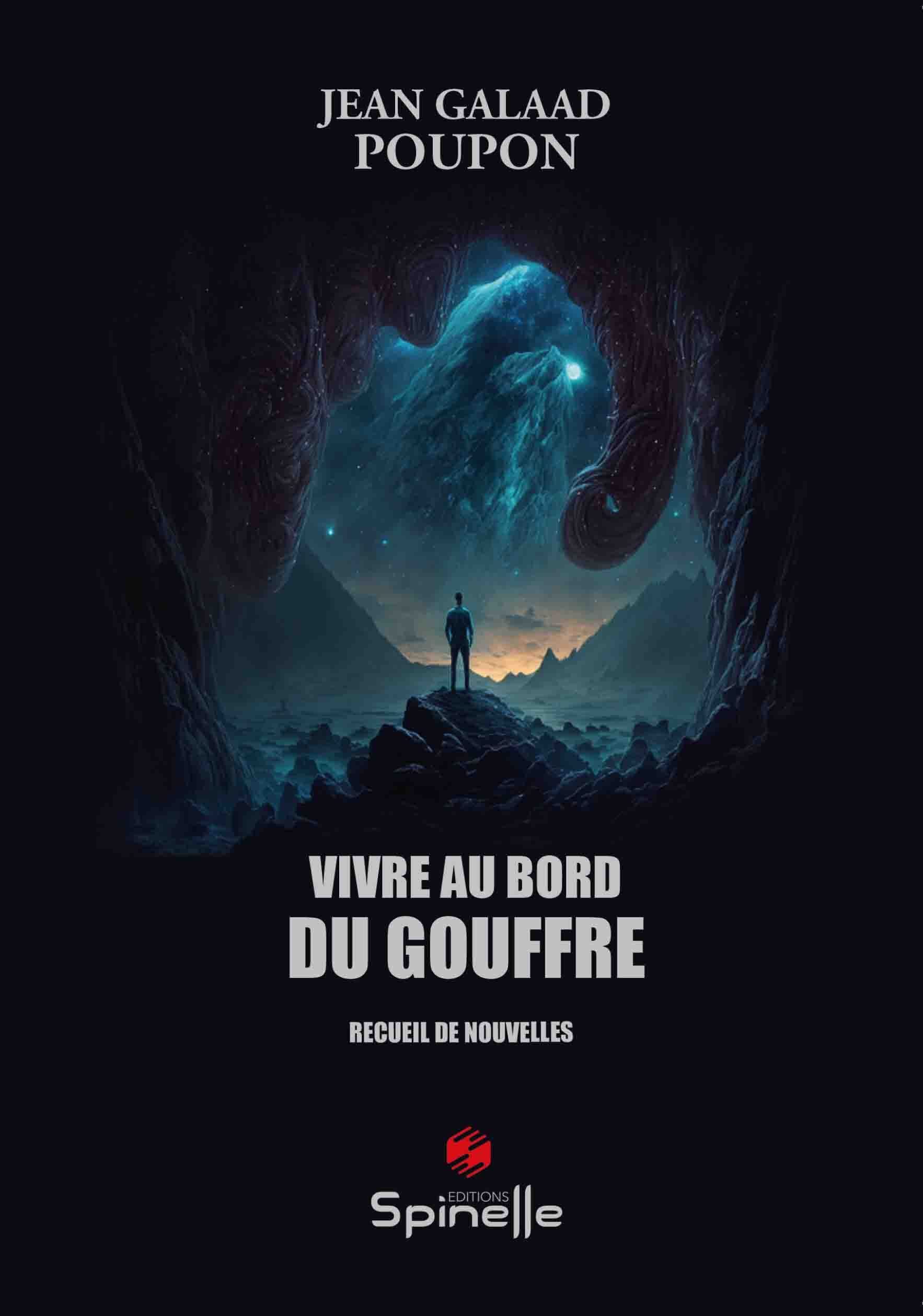 Vivre au bord du gouffre book
