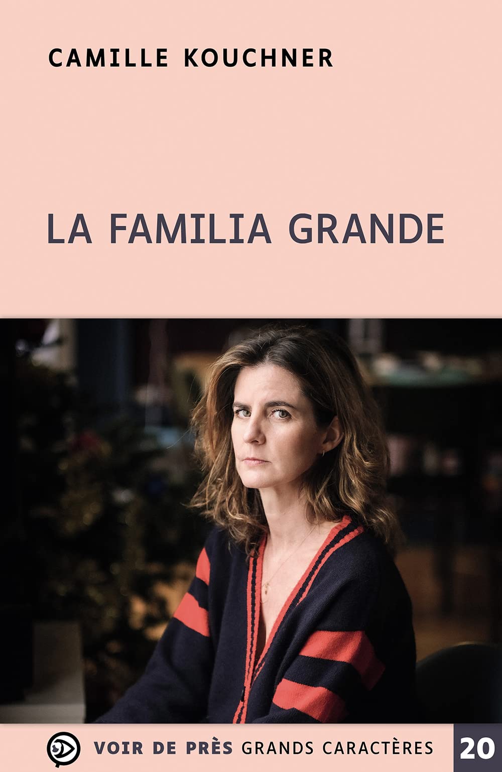 La familia grande book