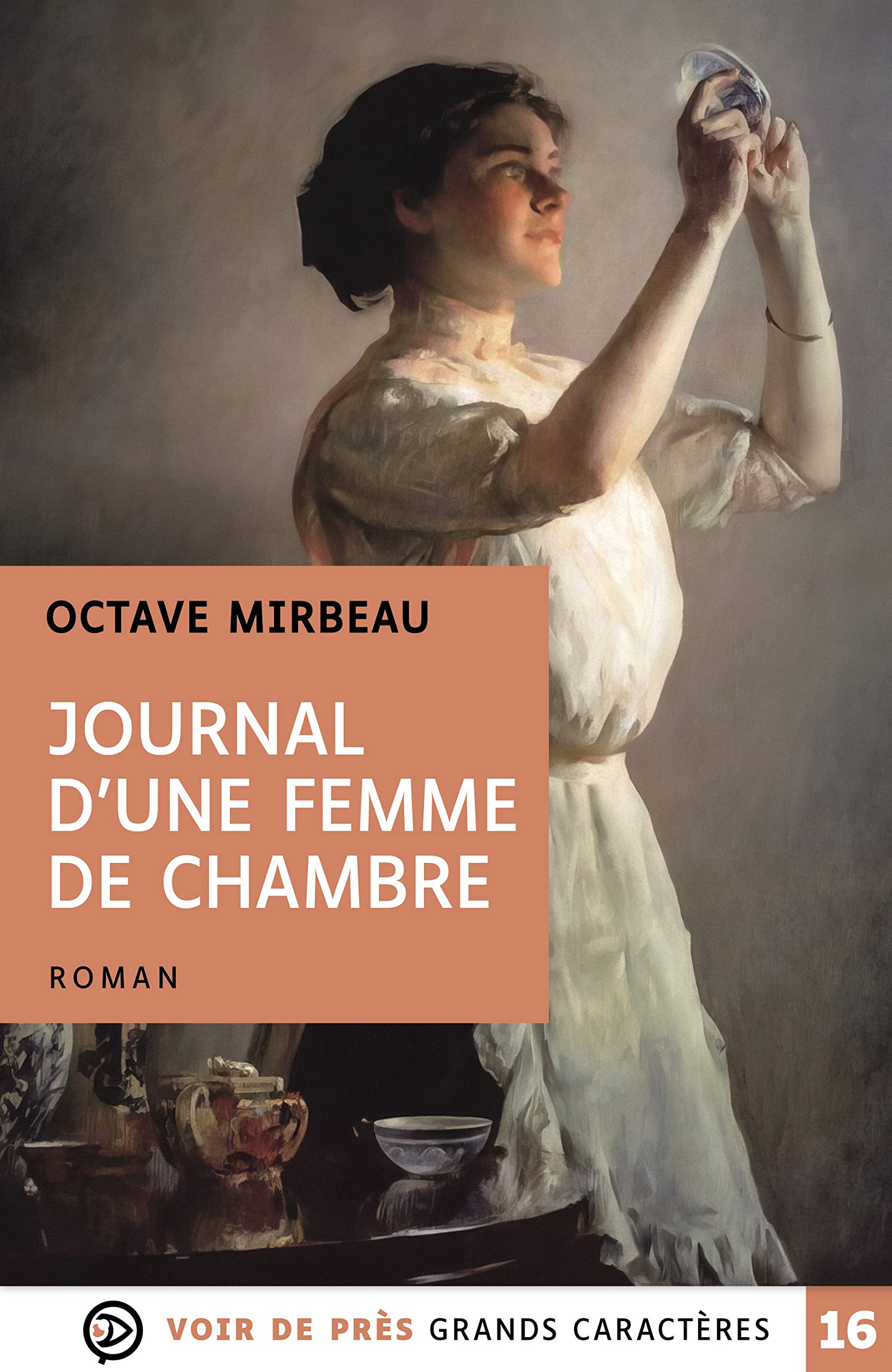 Le journal d'une femme de chambre book