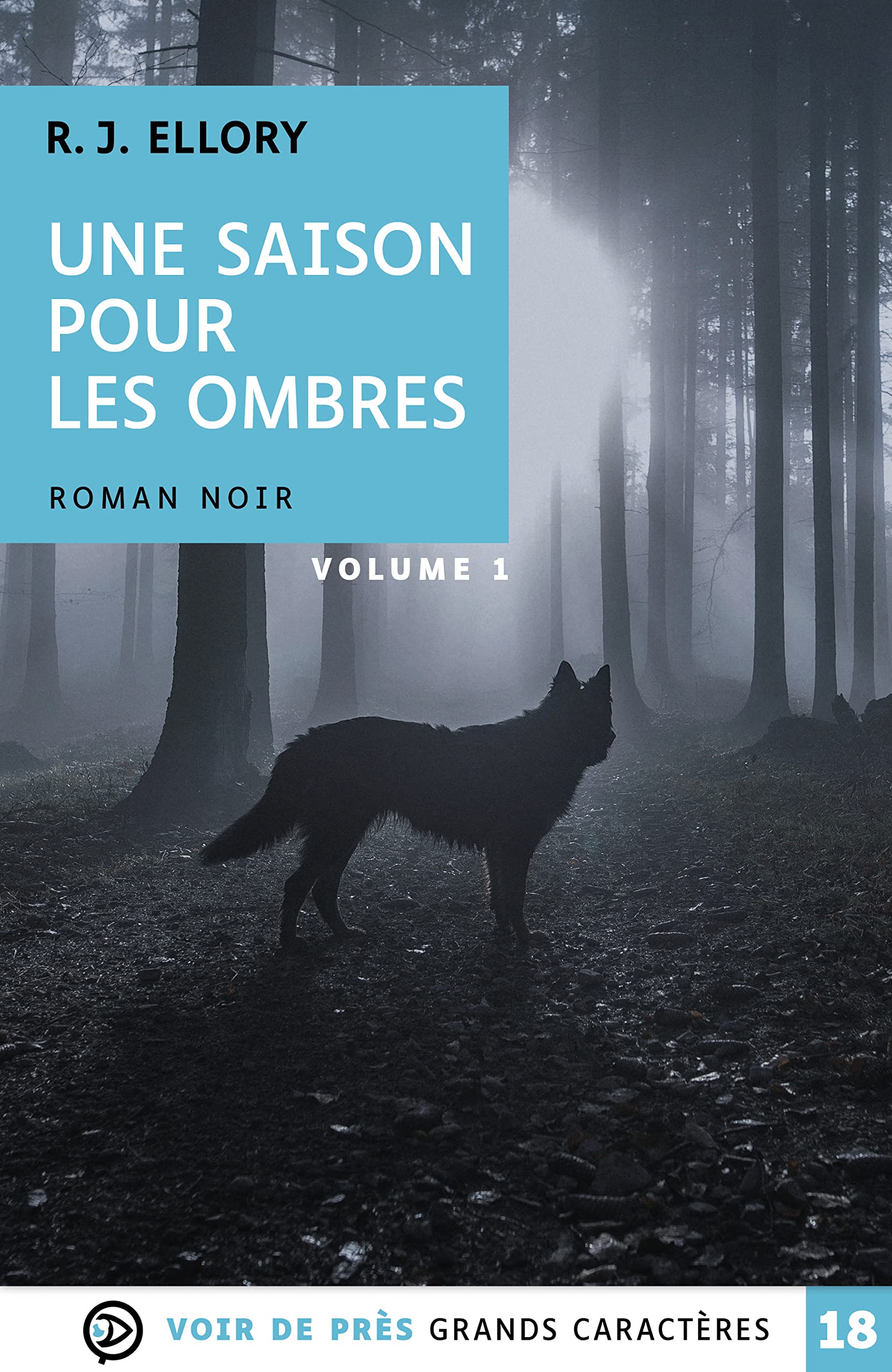 Une saison pour les ombres: 2 volumes book