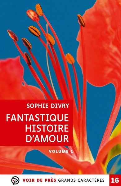 Fantastique histoire d'amour Contemporary literature