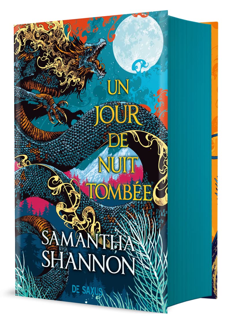 Un jour de nuit tombée (relié collector) book