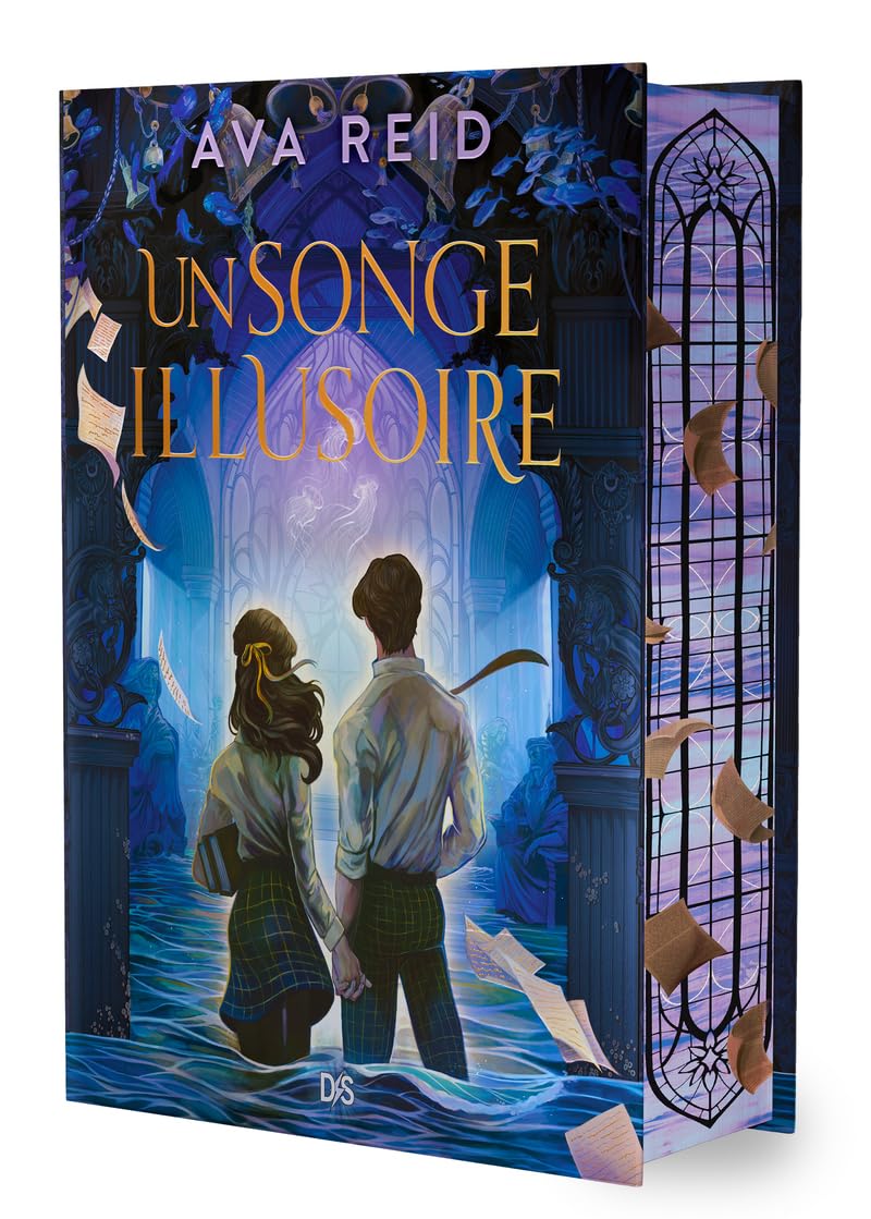Un passé englouti - Livre 02 Un songe illusoire (relié collector) (02) book