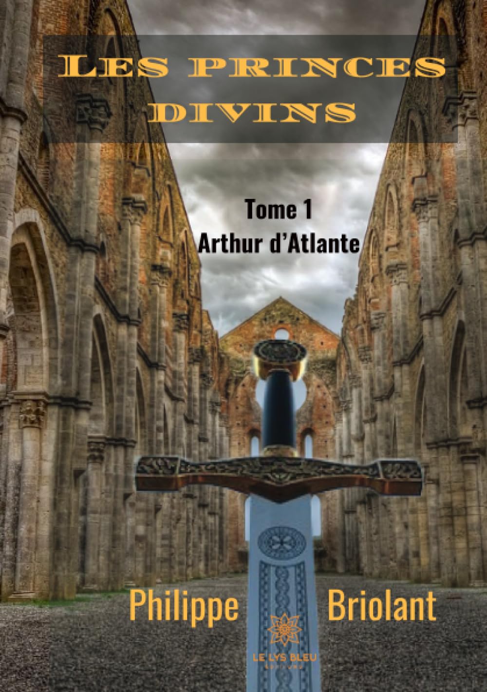 Les princes divins book