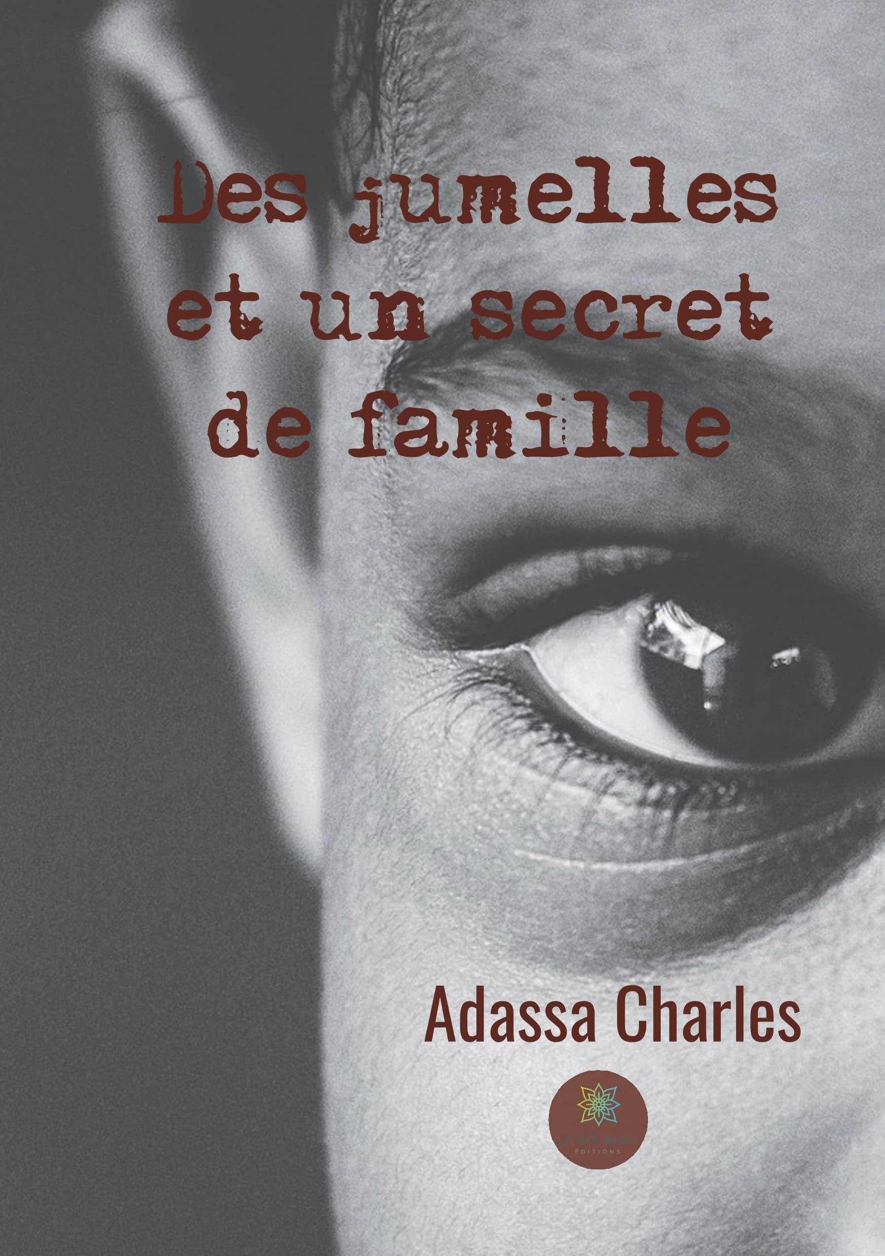 Des jumelles et un secret de famille book
