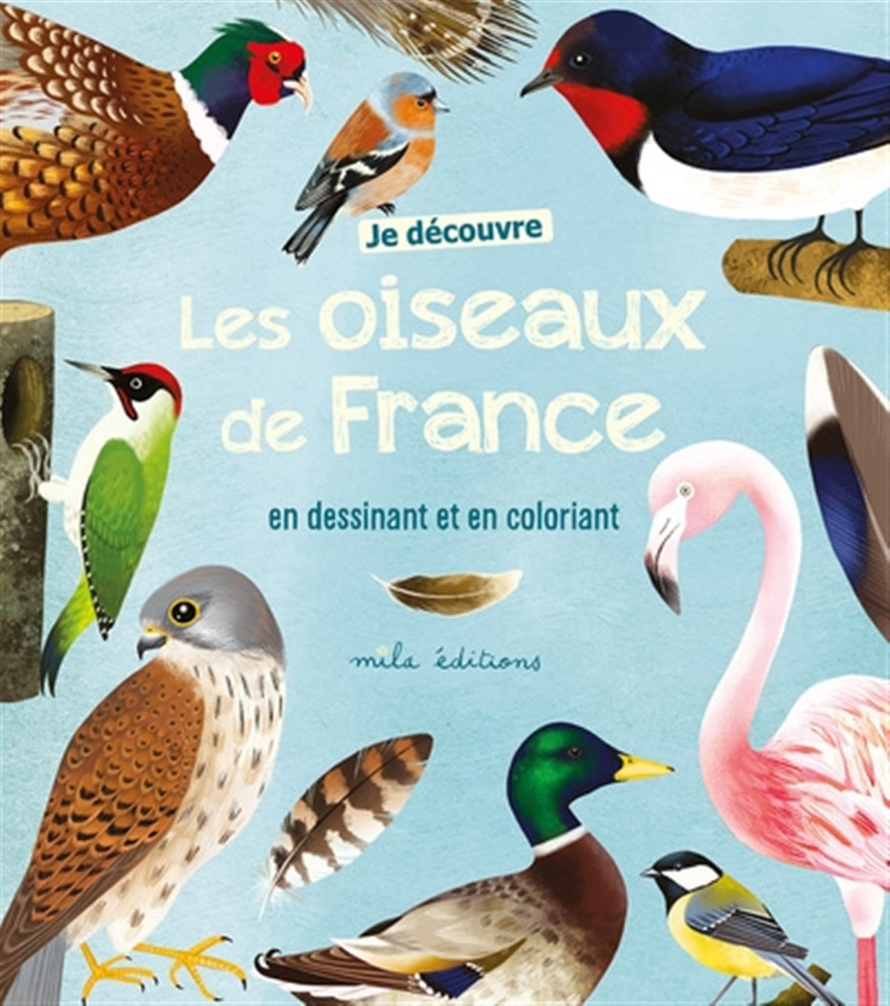 Je découvre les oiseaux de France en dessinant et en coloriant book