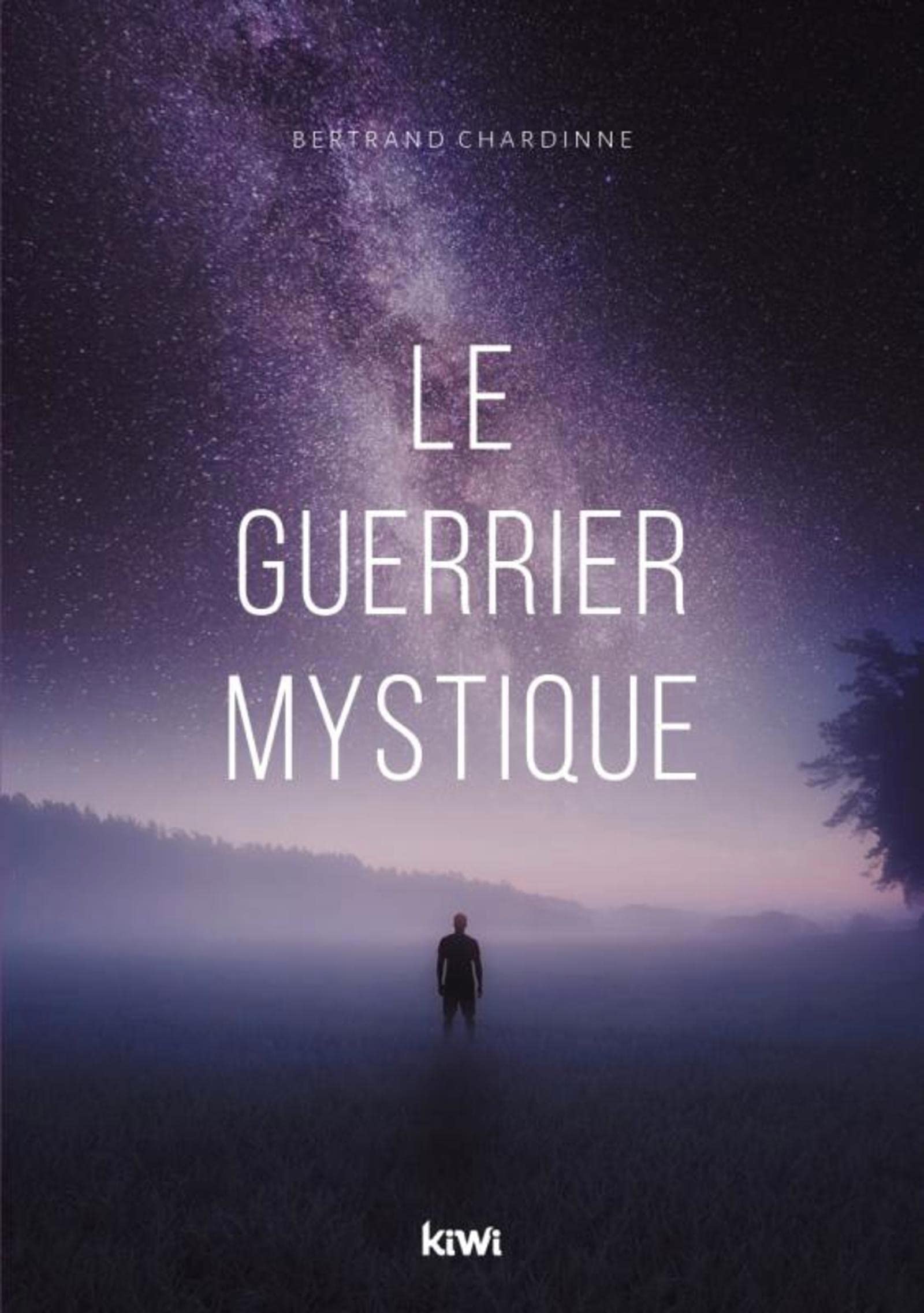 Le guerrier mystique Contemporary literature
