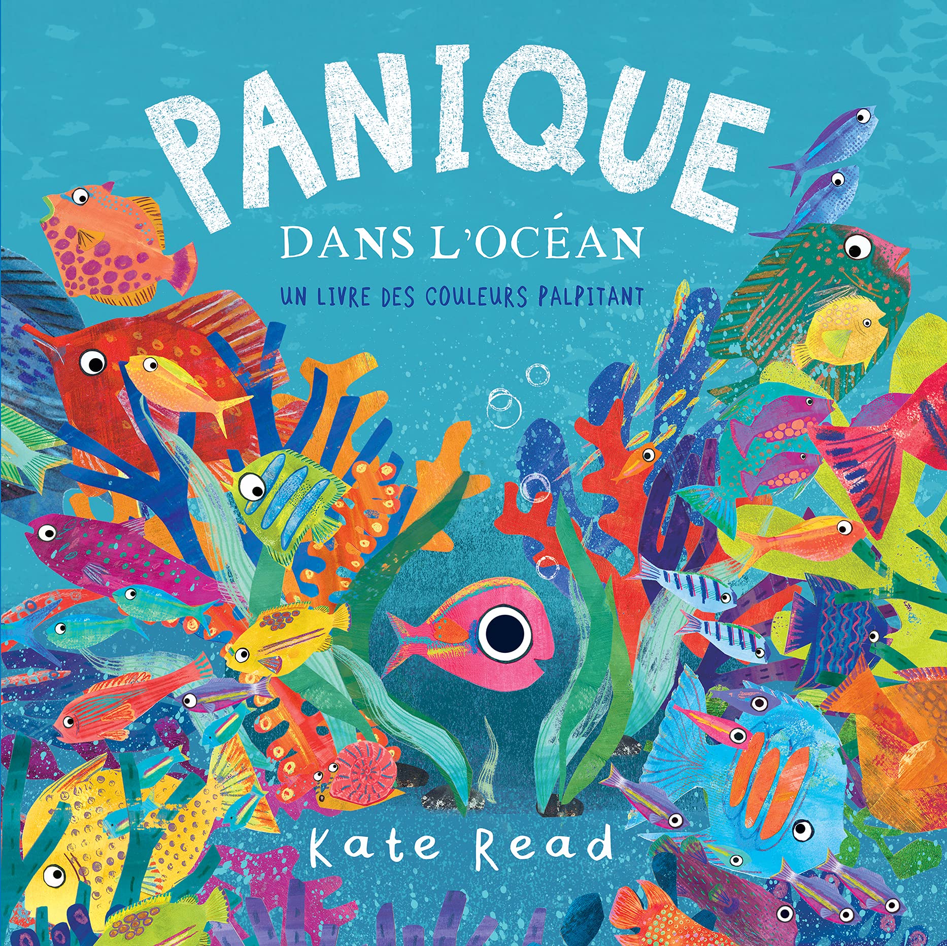 Panique dans l océan, un livre des couleurs palpitant book