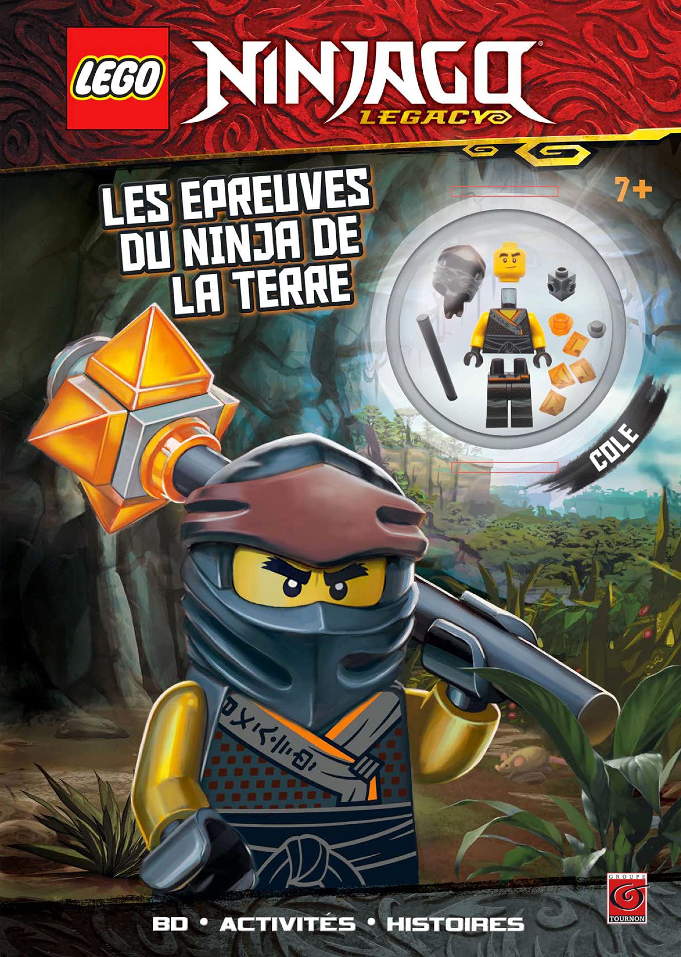 LEGO NINJAGO LES EPREUVES DU NINJA DE LA TERRE book
