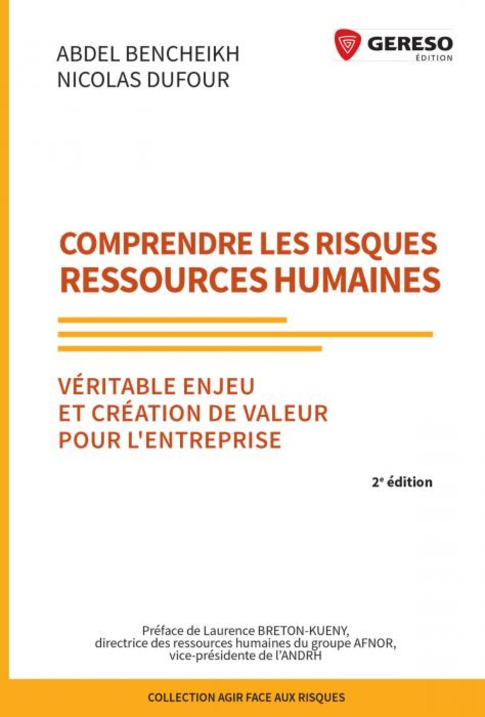 Comprendre les risques Ressources Humaines: Véritable enjeu et création de valeur pour l'entreprise. Préface de Laurence Bretn-Kueny Business, Finance & Career