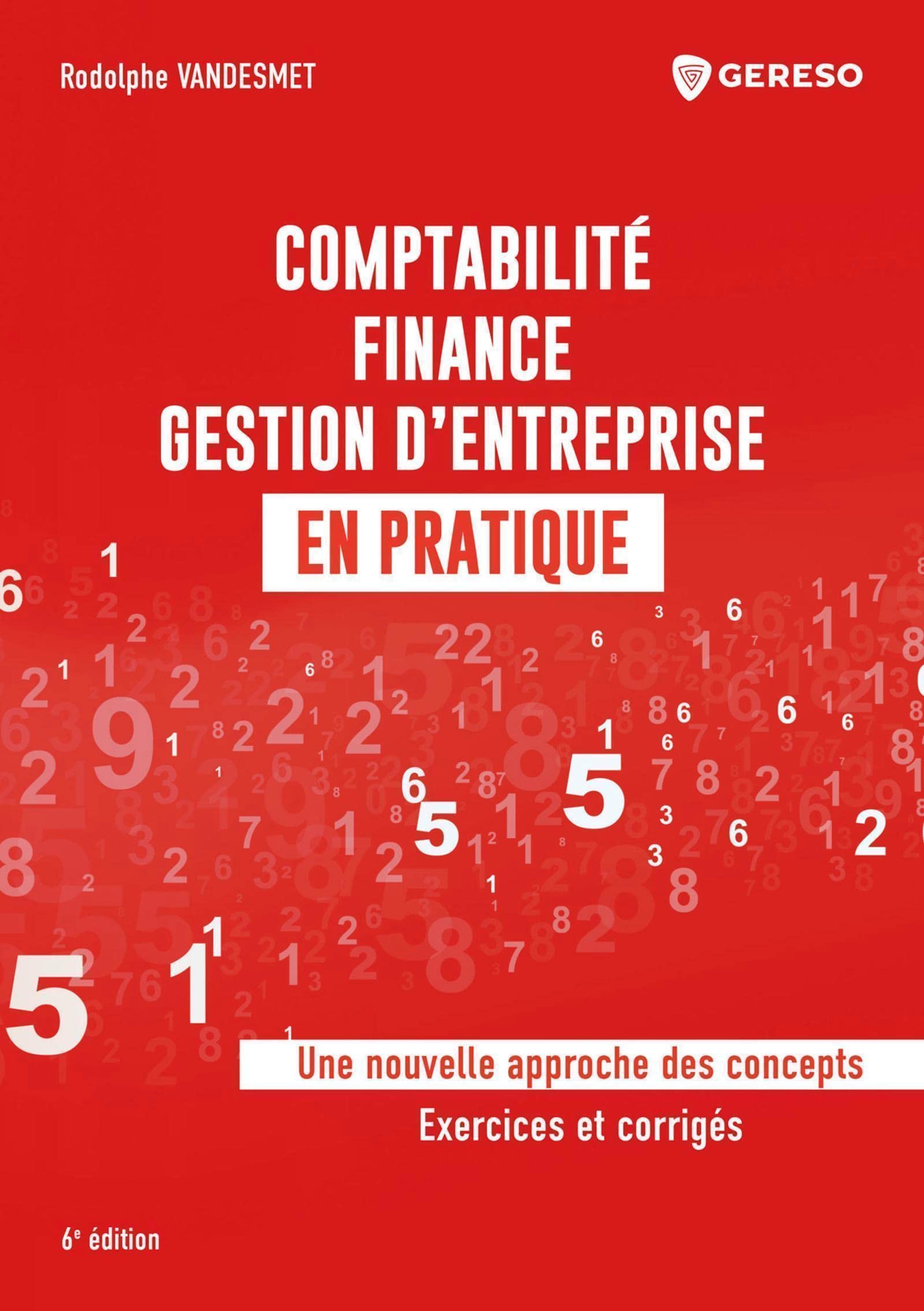 Comptabilité, finance, gestion d'entreprise en pratique: Une nouvelle approche des concepts - Exercices et corrigés book