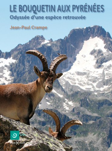 Le bouquetin aux Pyrénées : odyssée d'une espèce retrouvée Film, Art & Culture