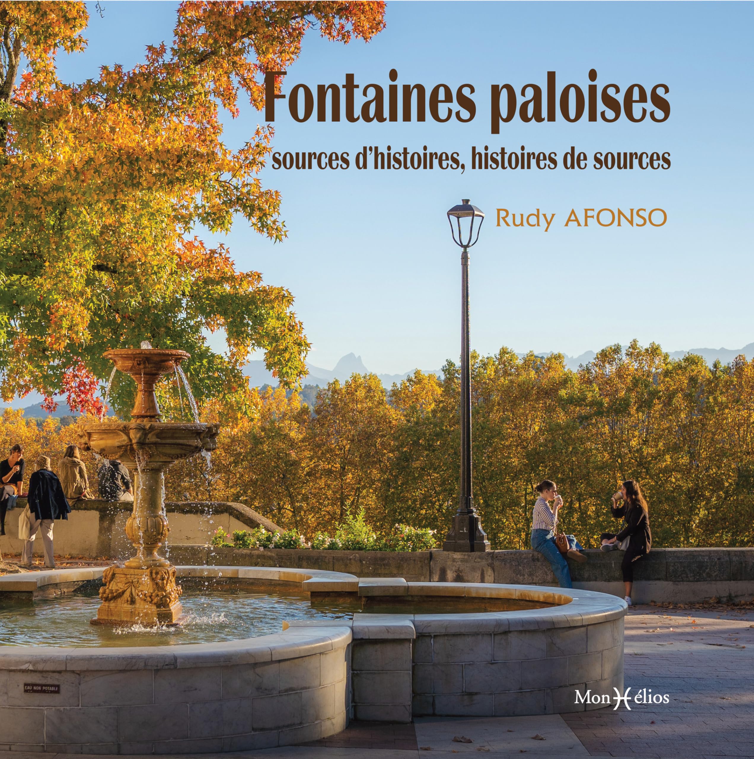 Fontaines paloises : sources d'histoires, histoires de sources book