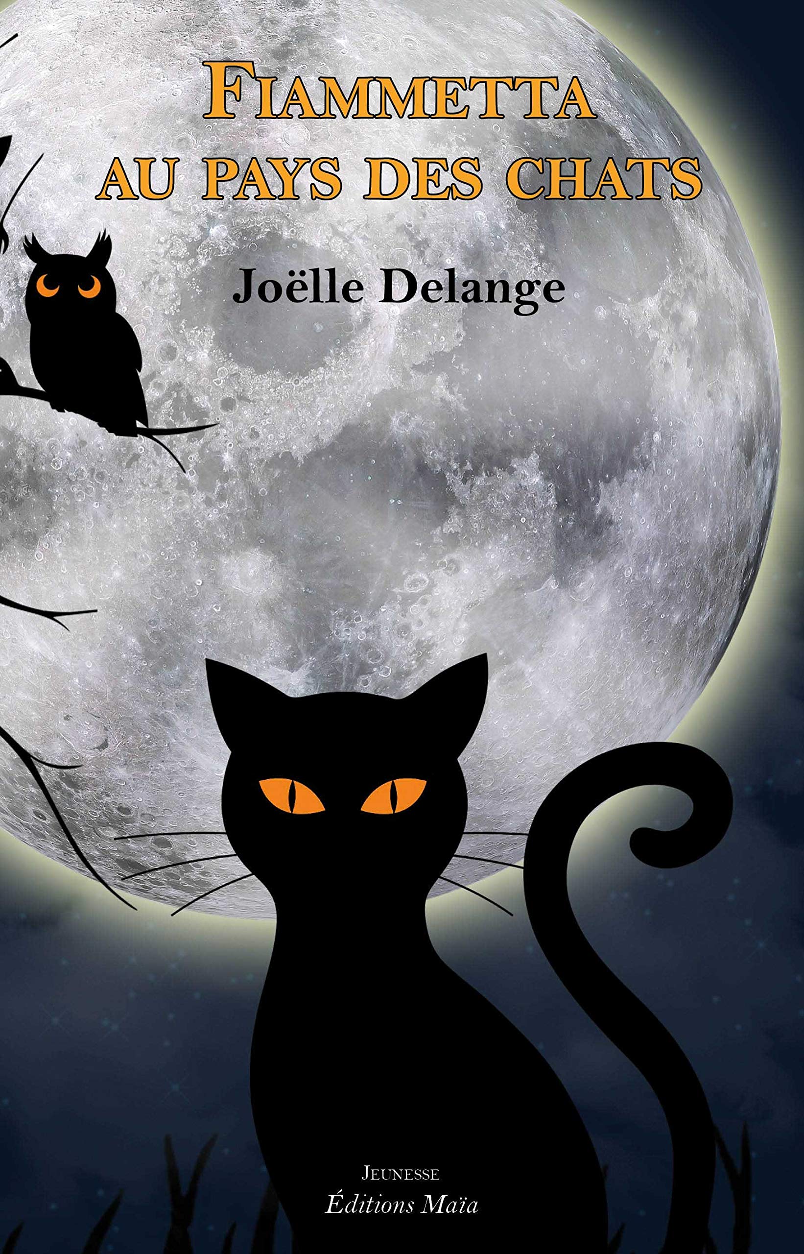 Fiammetta au pays des chats Children's books