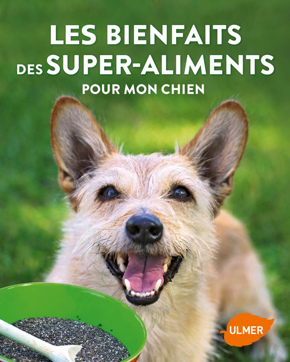 Les bienfaits des super-aliments pour mon chien Pets
