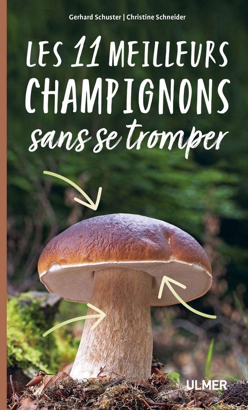Les 11 meilleurs champignons sans se tromper Mathematics