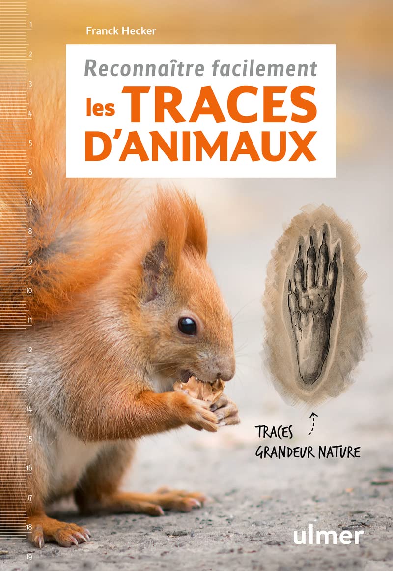 Reconnaître facilement les traces d'animaux - Traces grande nature Mathematics