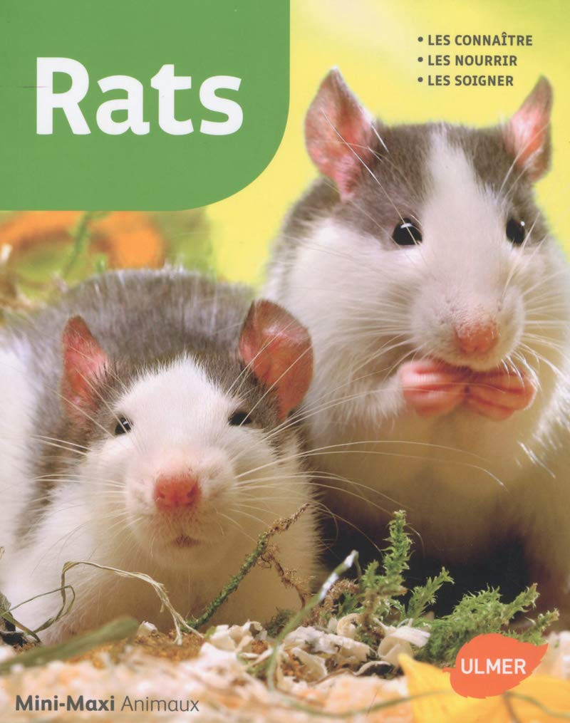 Rats Pets