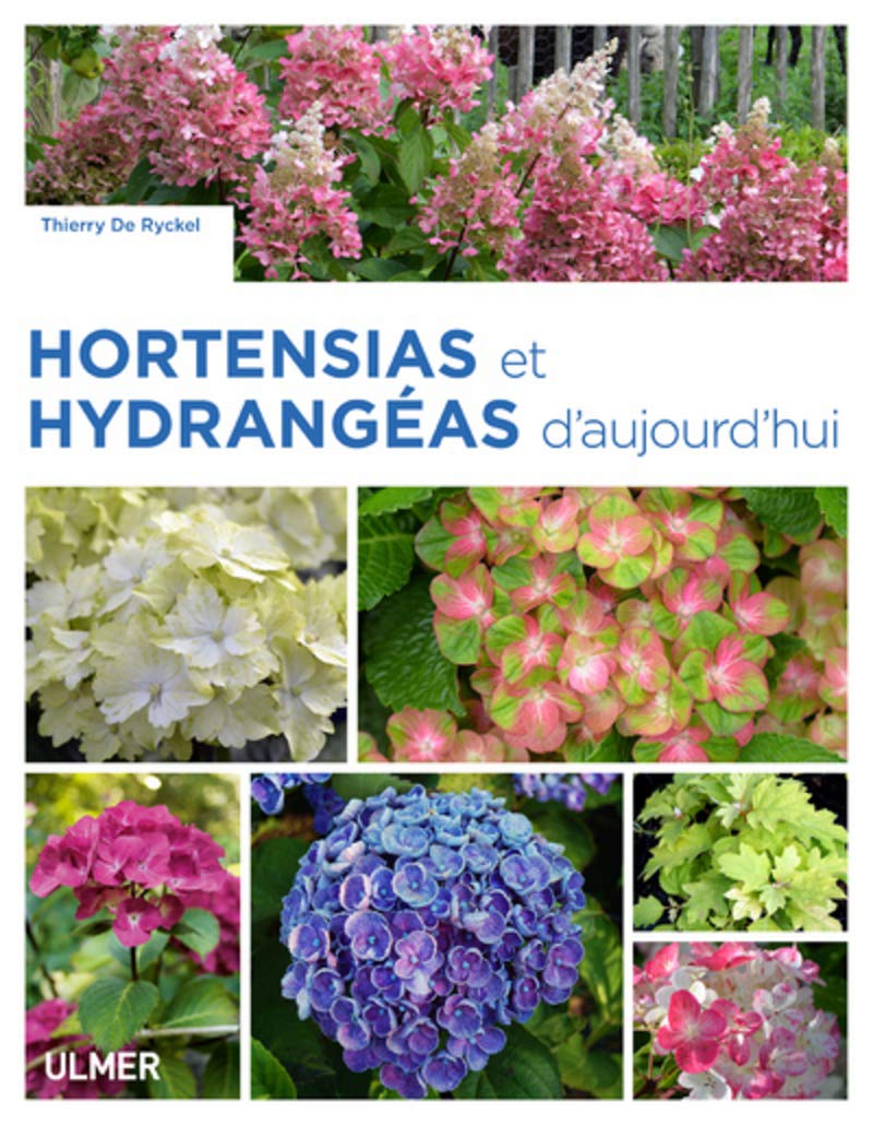 Hortensias et hydrangéas d'aujourd'hui Garden & Plants