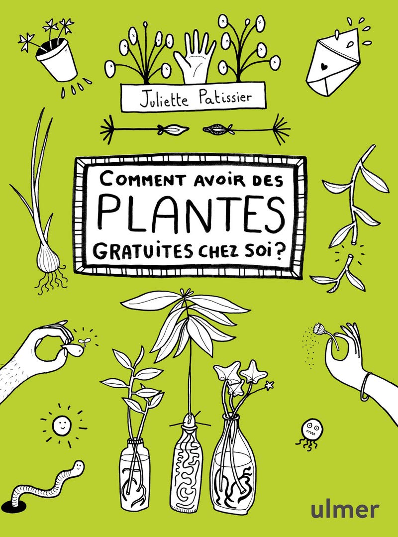 Comment avoir des plantes gratuites chez soi ? Garden & Plants