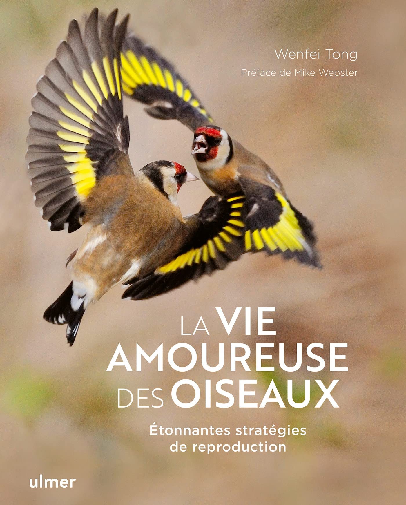La vie amoureuse des oiseaux - Etonnantes stratégies de reproduction Mathematics