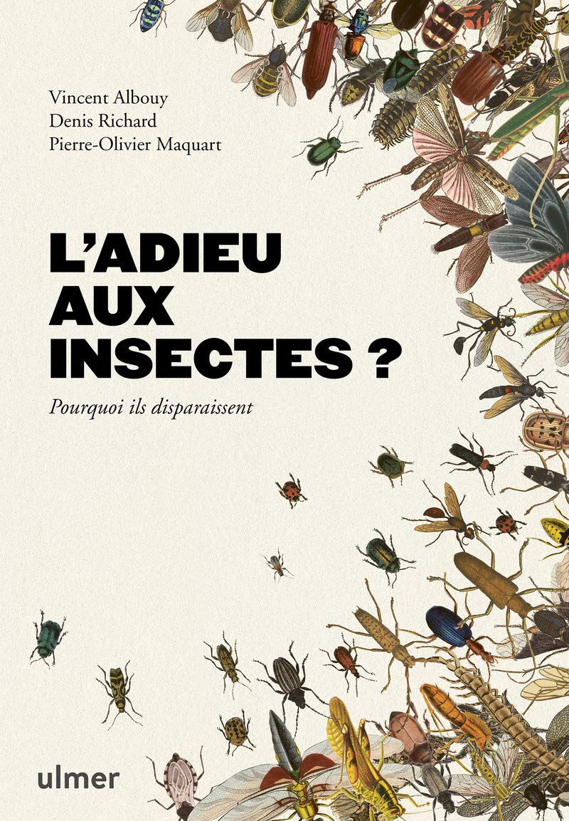 L'adieu aux insectes?: Pourquoi ils disparaissent ? Mathematics