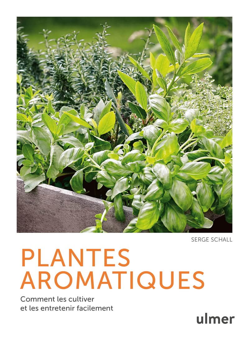 Plantes aromatiques - Comment les cultiver et les entretenir facilement Garden & Plants