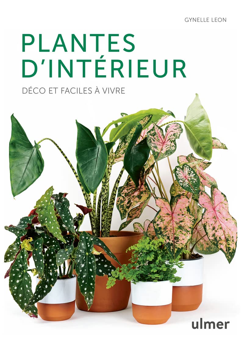 Plantes d'intérieur - Déco et faciles à vivre Garden & Plants