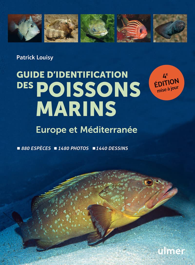 Guide d'identification des poissons marins - Europe et Méditerranée Mathematics