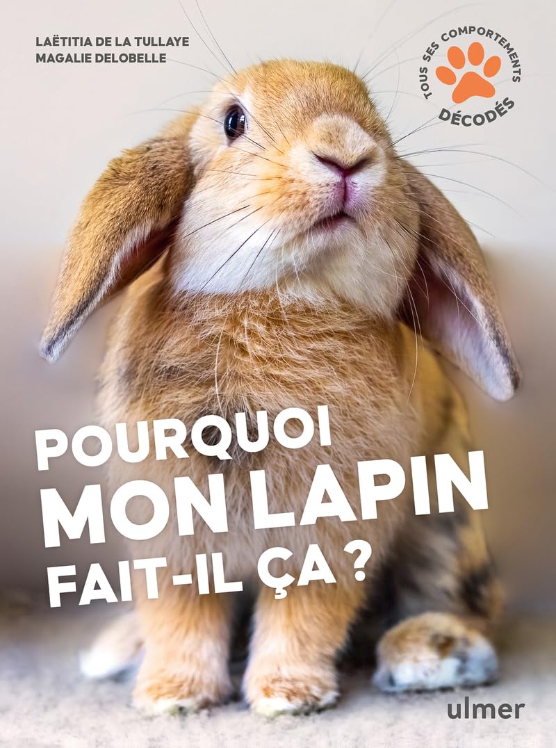 Pourquoi mon lapin fait-il ça ? Pets