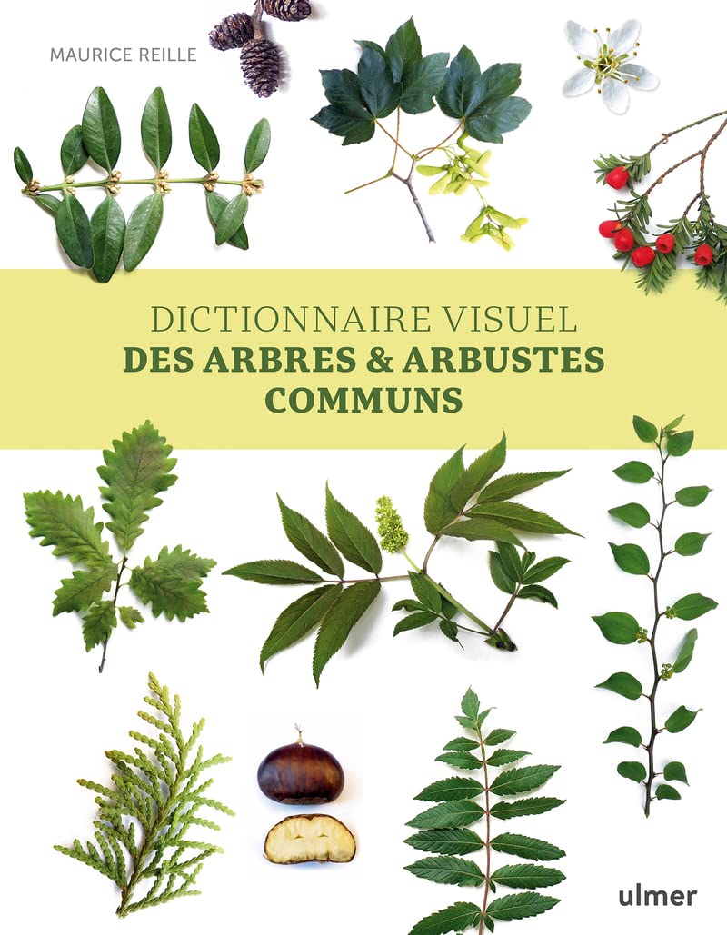 Dictionnaire visuel des arbres et arbustes communs Mathematics