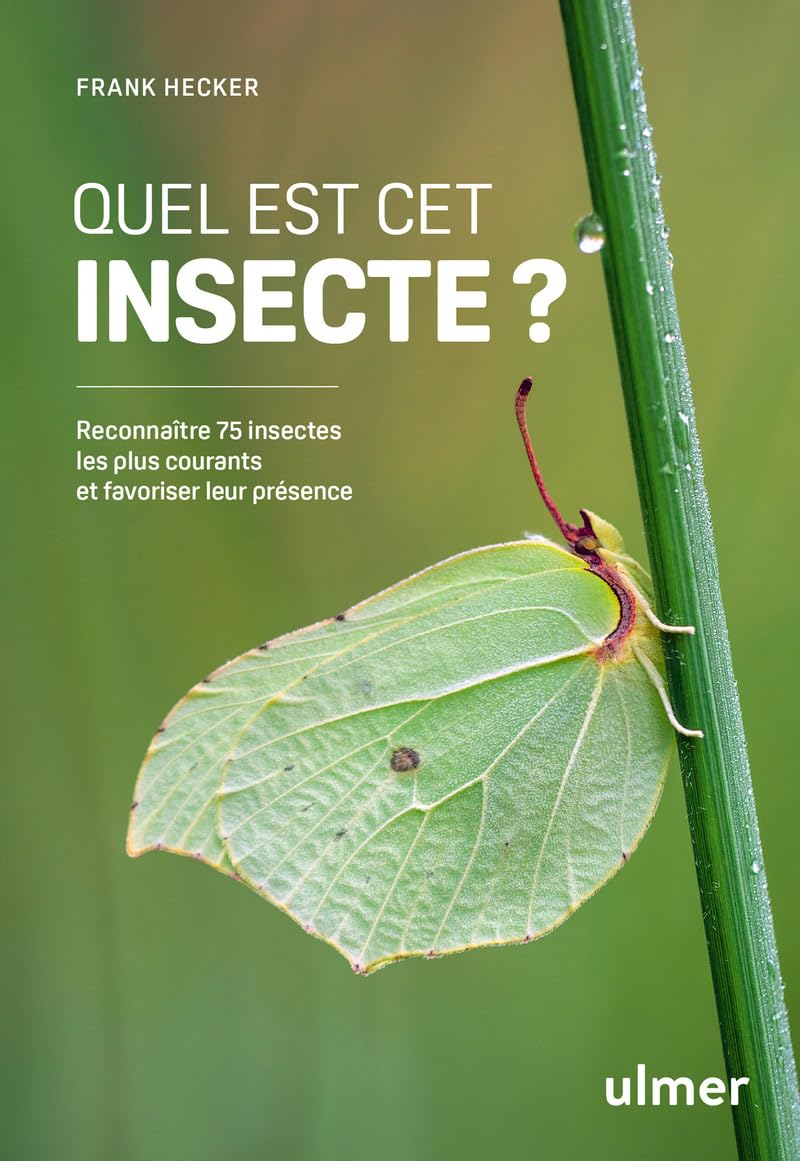 Quel est cet insecte ? - Reconnaître 75 insectes les plus courants et favoriser leur présence: Bourdons, abeilles, guêpes, coccinelles, coléoptères, ... Apprenez à les reconnaître et à les protéger book