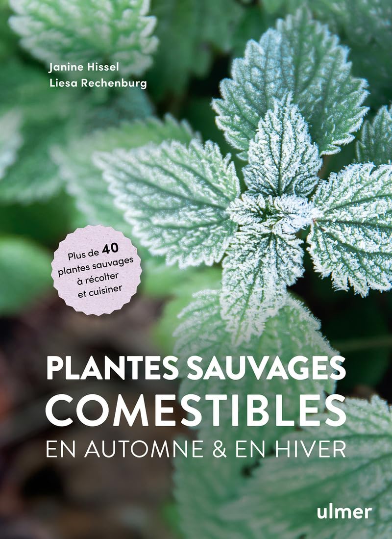 Plantes sauvages comestibles en automne et en hiver Mathematics