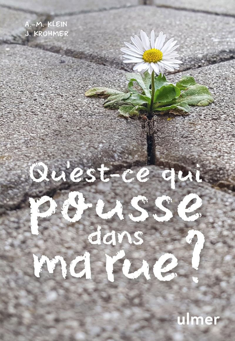 Qu'est-ce qui pousse dans ma rue ? Mathematics