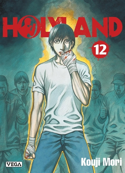 Product Image: Holyland. Vol. 12